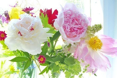 Peony Flower Photo Card, Floral Greeting Card, Mother's Day Card, Holiday Card