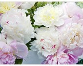 Photo Card of Your Choice, Fine Art Photography, Blank Card, Flower Card, Floral Card