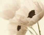 Poppy Photograph, Shabby Chic Wall Decor, Monochromatic  French Country Print,  Pink and Sepia Still Life - JudyStalus
