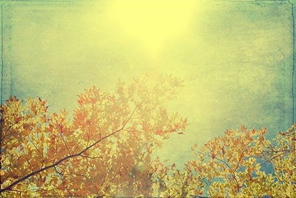 Autumn Foliage Photograph, Fine Art  Sky Landscape Print,  New England Wall Decor, Red, Gold