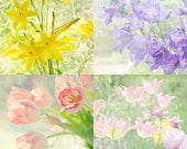 Floral Art Prints, Four Fine Art Flower Photographs, Sunshine, Soft and Ethereal Tulips, Daylilies, Lady Bells, Shabby Chic Wall Art
