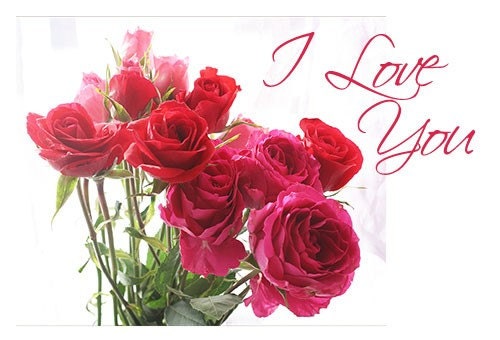 Red Rose I Love You Card, Mother's Day Card
