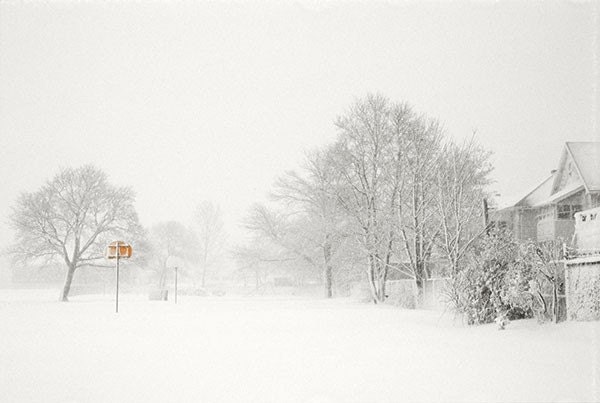 Winter Landscape Photograph, New England Snow Scene, White Out, Monochromatic, Holiday Decor, Wall Decor - JudyStalus