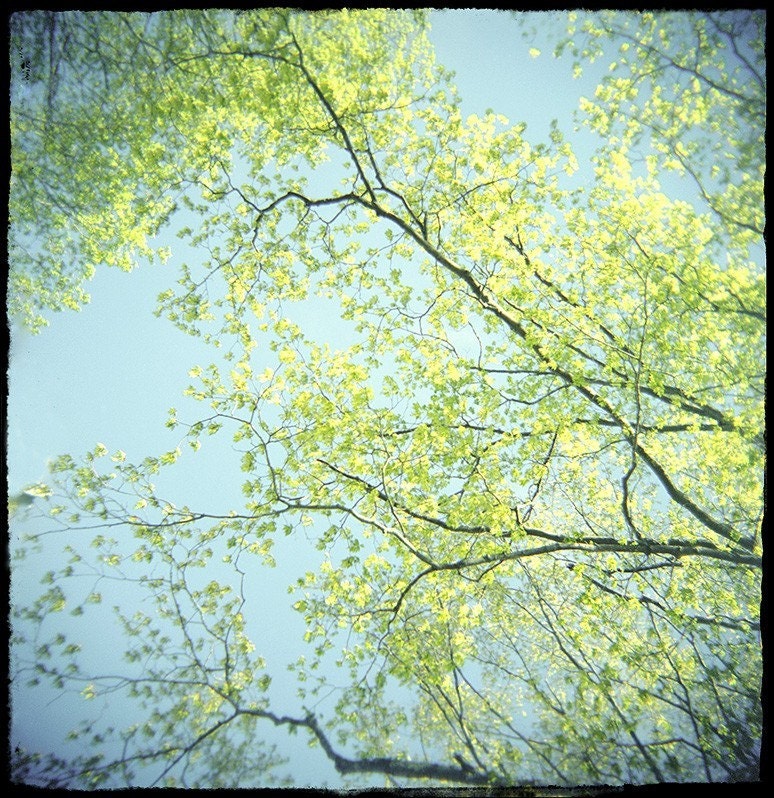 Spring Foliage Landscape  Photograph, Chartreuse Turquoise Sky,  Holga Photo, Wall Decor