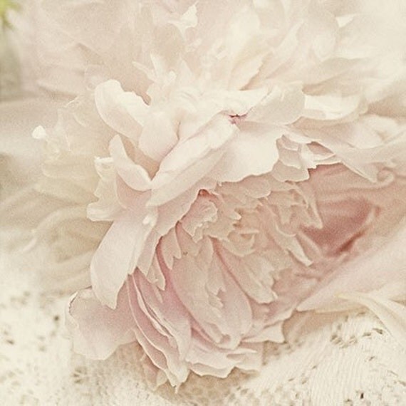 Shabby Chic Wall Decor, Flower Photographs, Four Floral  Art Prints Set, Ethereal Still Lifes, Peony, Tulip, Poppy, Daisy, Pink