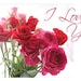 Red Rose I Love You Card, Mother's Day Card