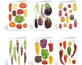 Farm Fresh Summer Vegetables -  6 assorted greeting cards