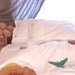 Metallic Sky King Duvet Set