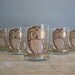 Vintage Owl Drinking Glasses by Georges Briard