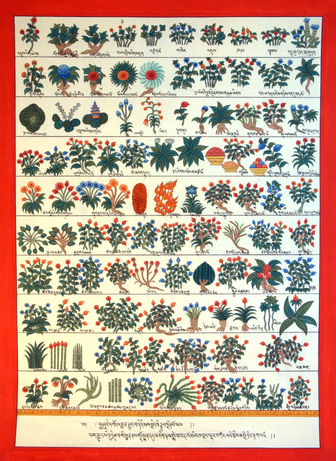 Medicine Plants Original Thangka Painting from Nepal