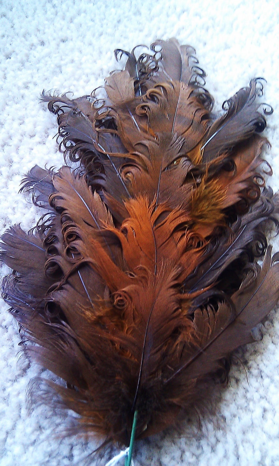 One Single 9.5" tall Curly Brown Feather- Great for Millinery, Hats, And Hair Pieces.