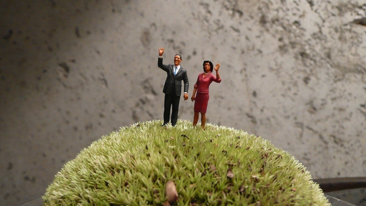 Teensy President Obama and First Lady for your plants.