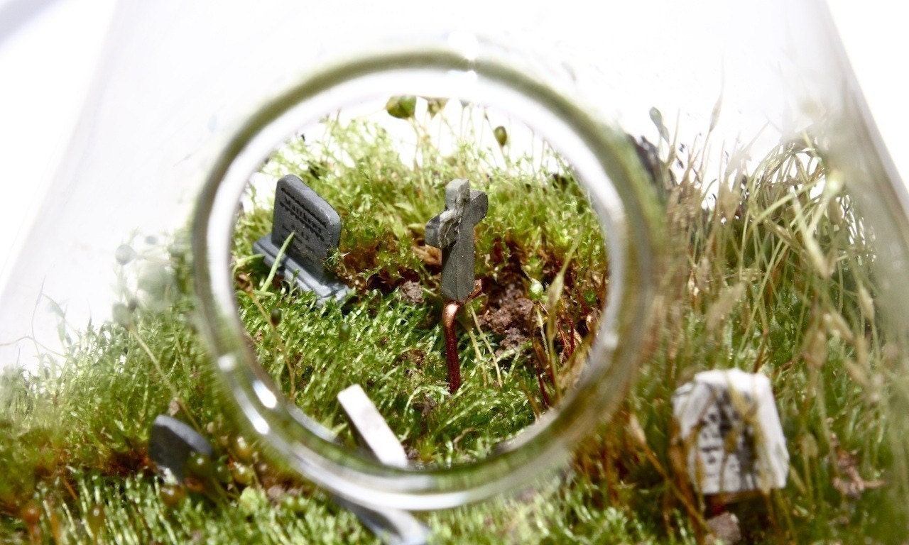 Eerie Cemetery MOSS DROP Hanging Terrarium  KIT