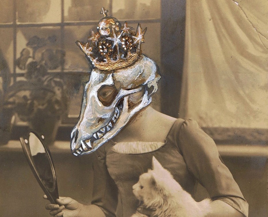 fox girl with cat