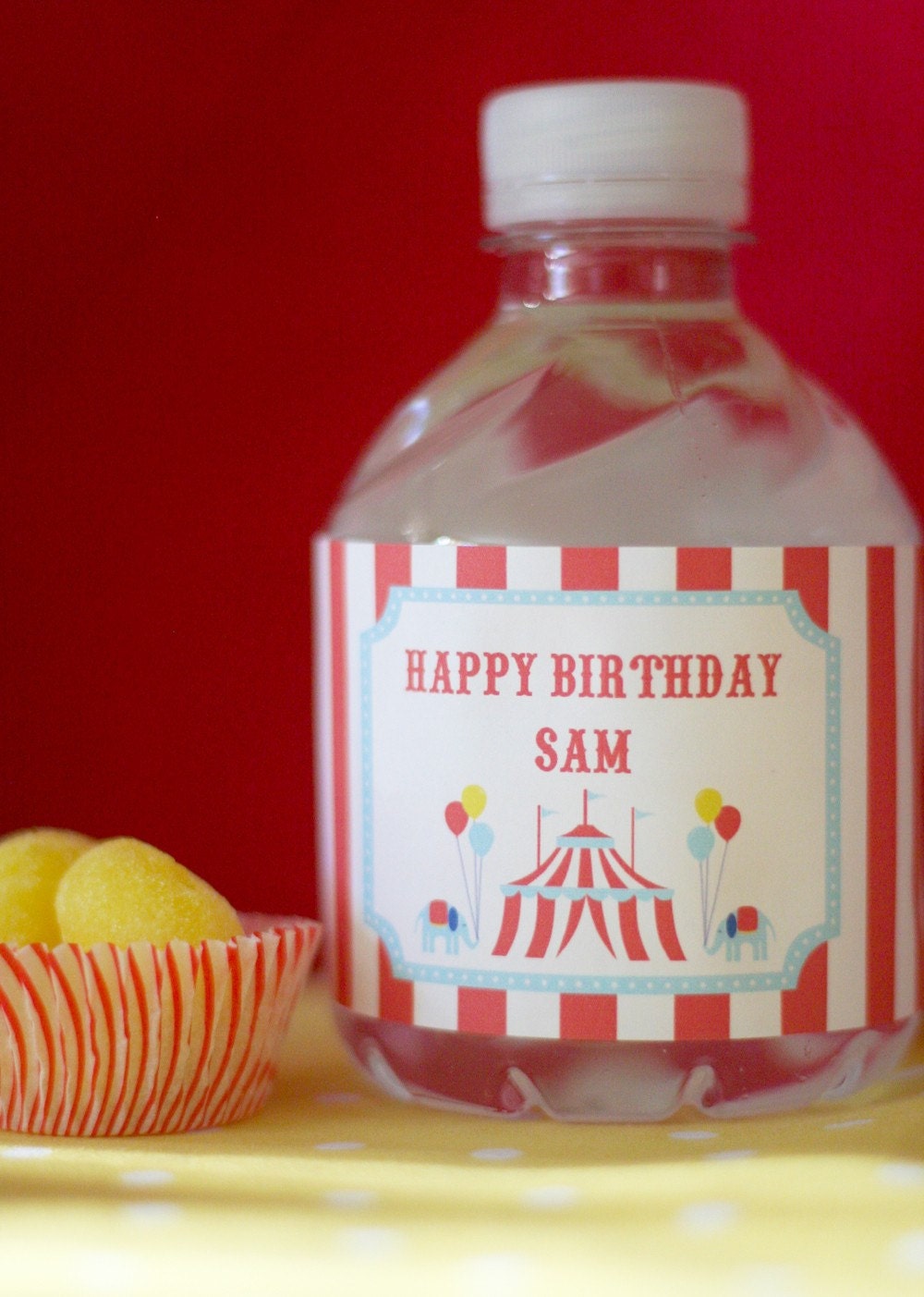 Circus Carnival Water Bottle Labels - PRINTABLE only Il_570xn