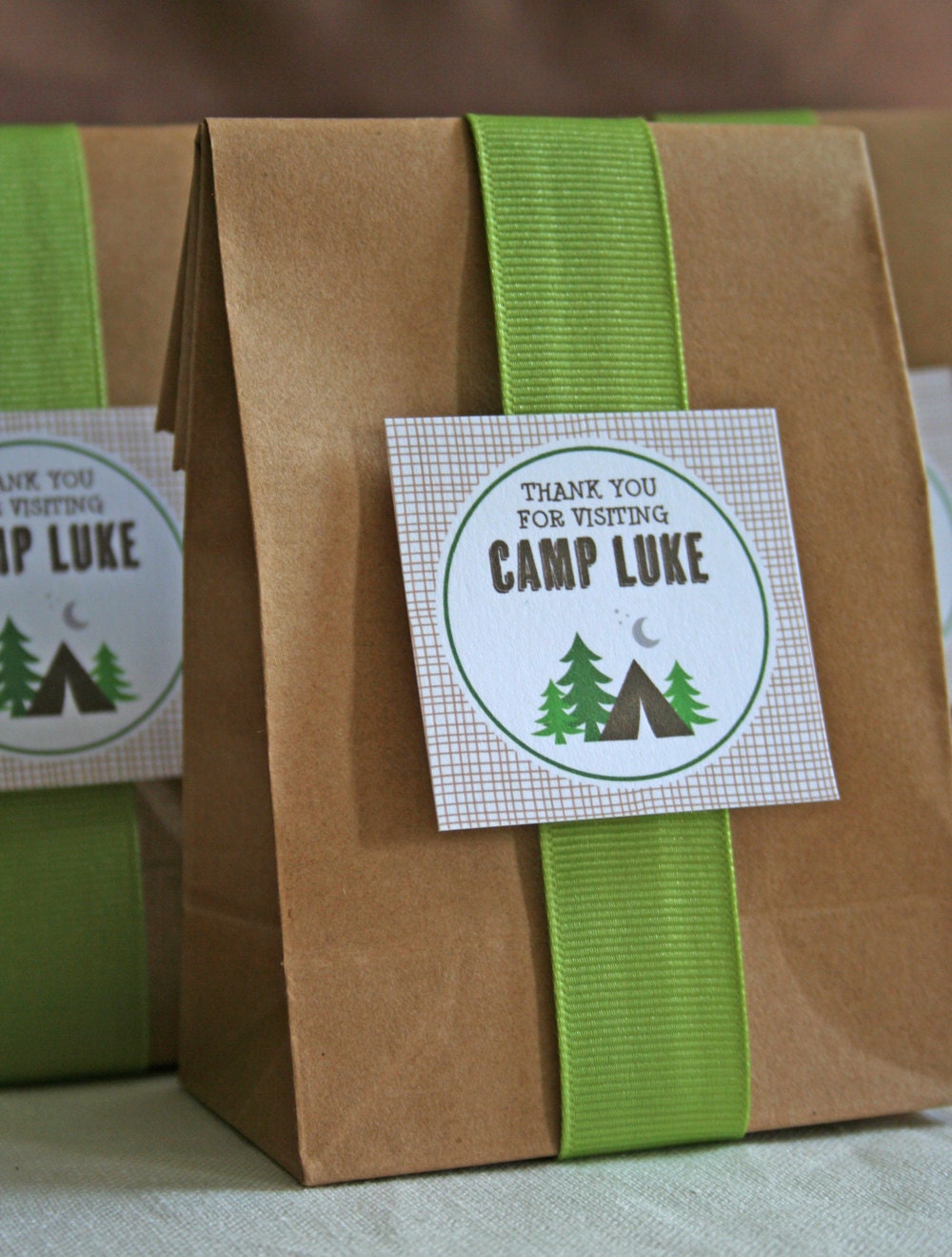 Favor Tags - Camping Birthday Party - PRINTABLE only Il_570xn