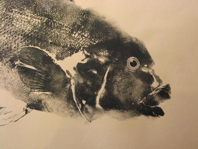 Terrific Tautog Original Fish Rubbing (GYOTAKU) from The Atlantic Ocean