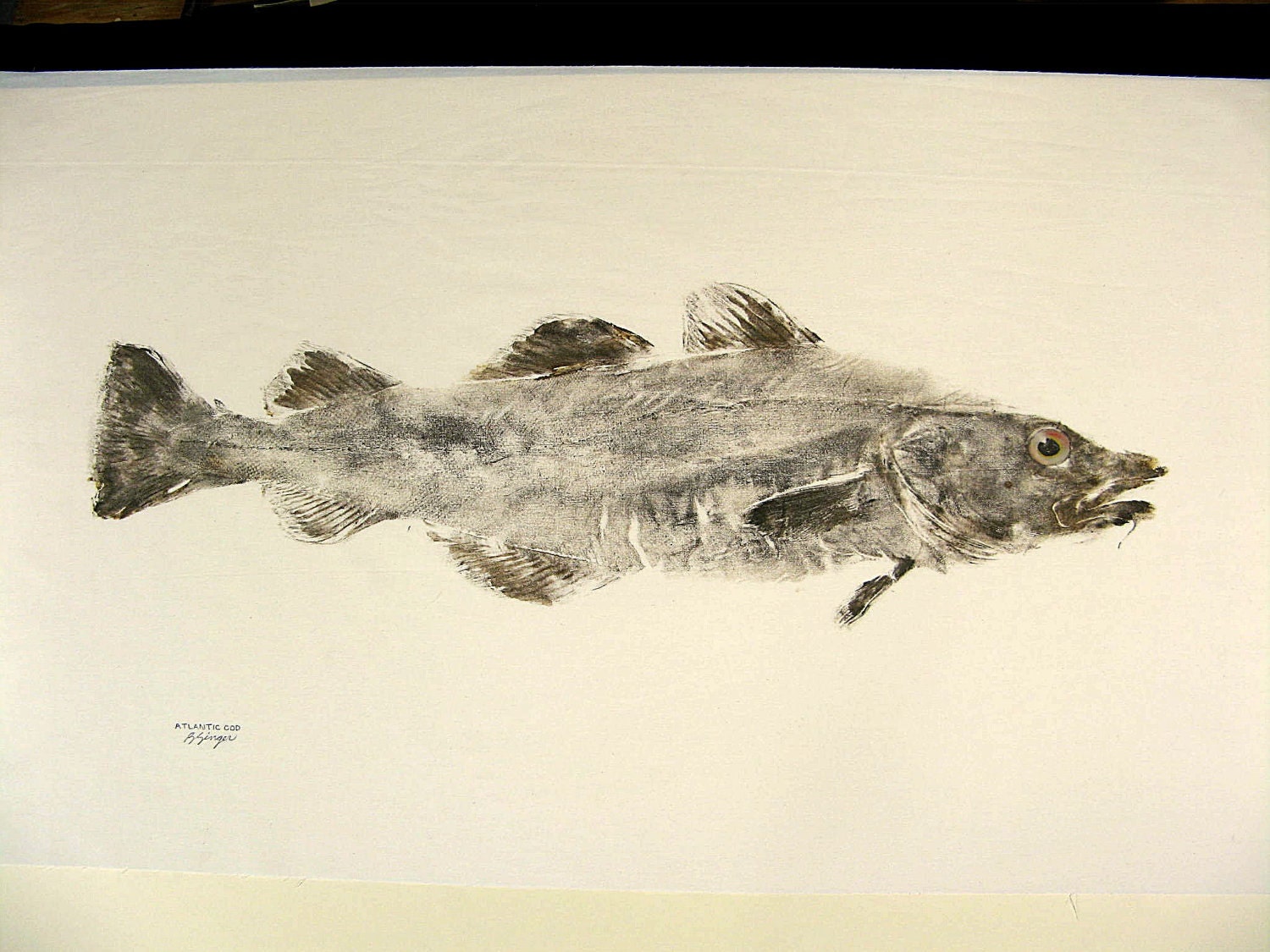 Atlantic COD Original GYOTAKU fish Art rubbing Beach Decor on natural premium muslin