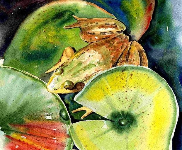 8x10 Green Frog and lily pad cottage decor watercolor art print