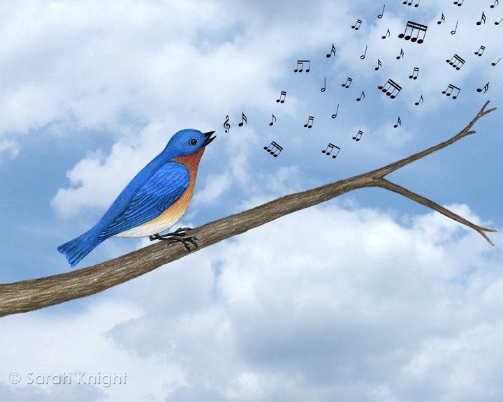 bluebird song - digital illustration art print 8X10 inches, eastern blue bird branch musical note nature picture