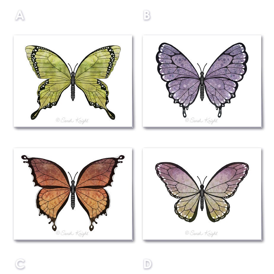 fantasy art butterflies variety pack, set of 12 blank greeting cards, earth jewel tones