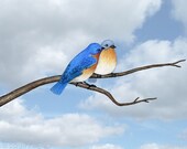 eastern bluebird couple - digital illustration art print 8X10 inches, blue birds couple branch nature picture