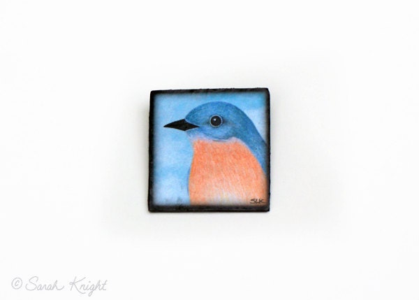 female eastern bluebird - bird art brooch by Sarah Knight, sky blue orange portrait