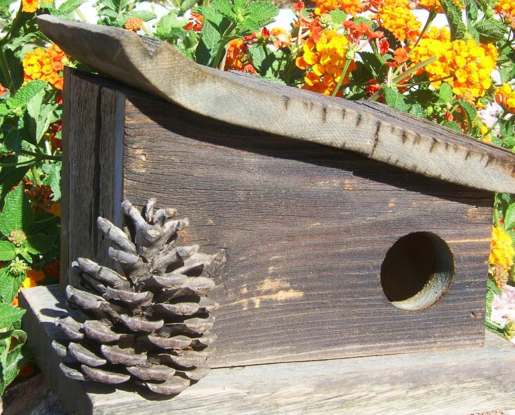 RUSTIC Bird house SLANTED ROOF with Pinecone by Forthebirdsandmore