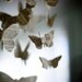 Wordy Butterfly Mobile