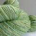 Succulent - 340 yards of handspun yarn
