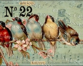 ORIGINAL Digital Collage RAINBOW of BIRDS French Music Petit Oiseau Symphony No. 22 Gift tag Design