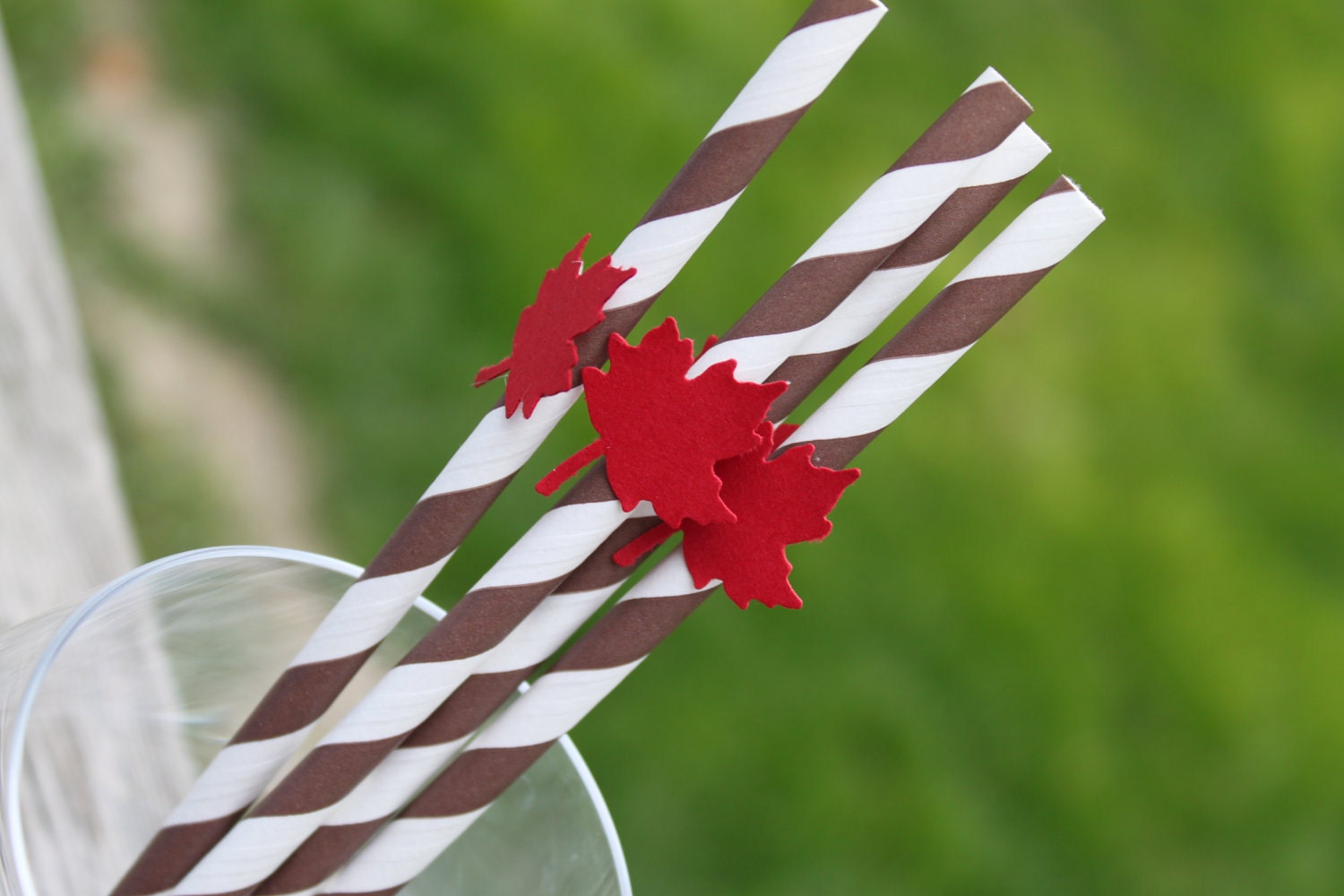 Brown Pixie Striped Paper Straws Embellished with Red Falling Leaves - Set of 10