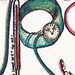 proud nurse health care provider RN LPN NP 11 x8.5 Print