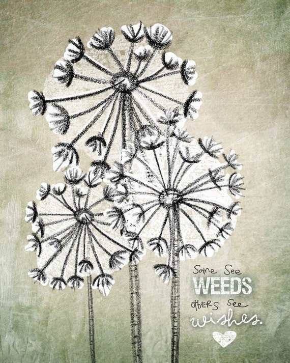 Some see wishes