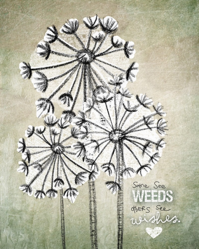 Some see wishes