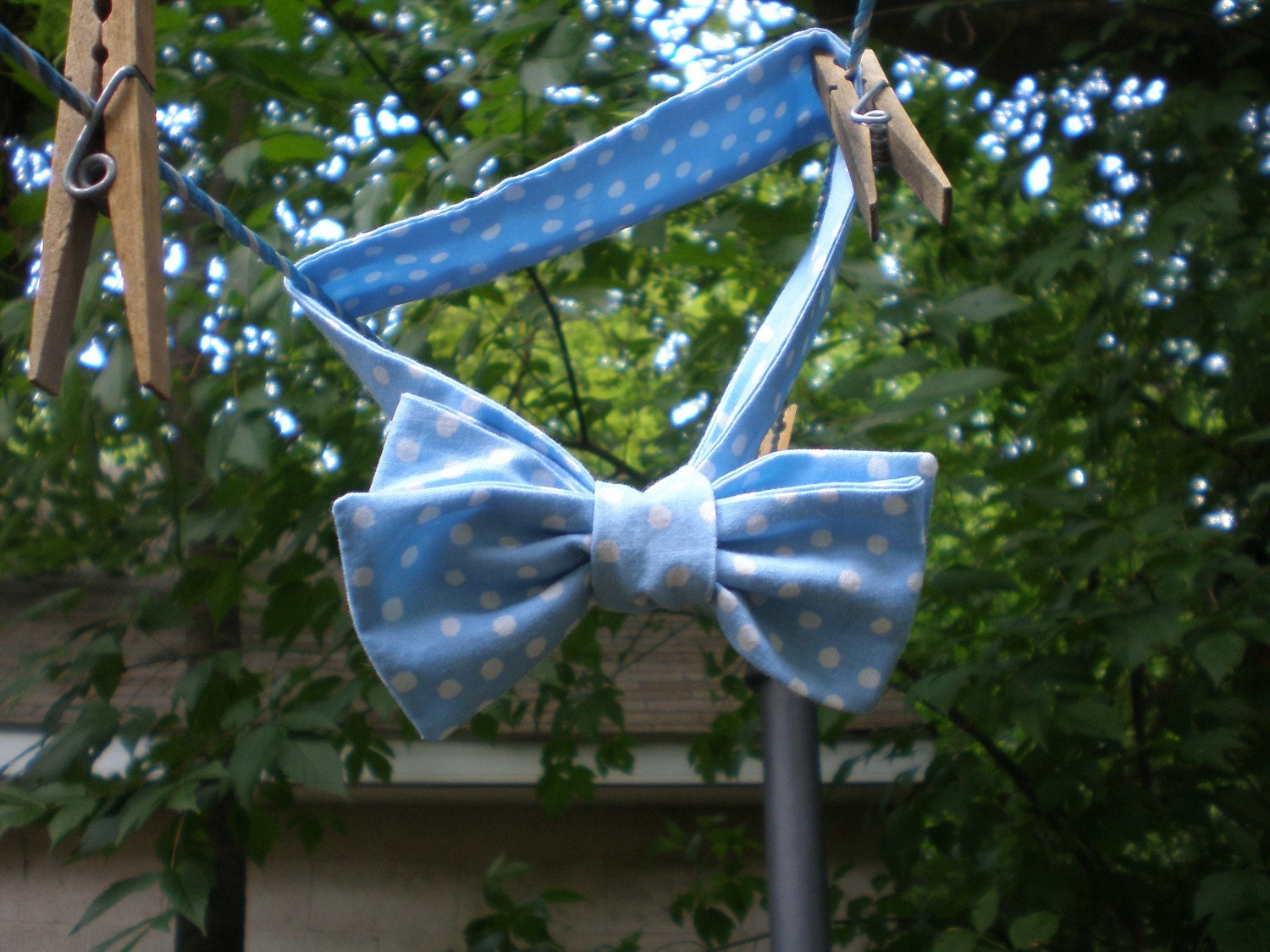 Blue Bowtie