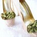 Woodland Green Shoe Clips.