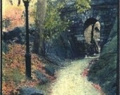SALE -- Central Park, New York City, NYC, Fall, Autumn, Photograph, Image Transfer, Framed