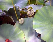 SALE -- Lotus, Plants, Flowers, Green, Purple, Garden, Kenilworth Aquatic Gardens, Washington DC, Photography, Framed