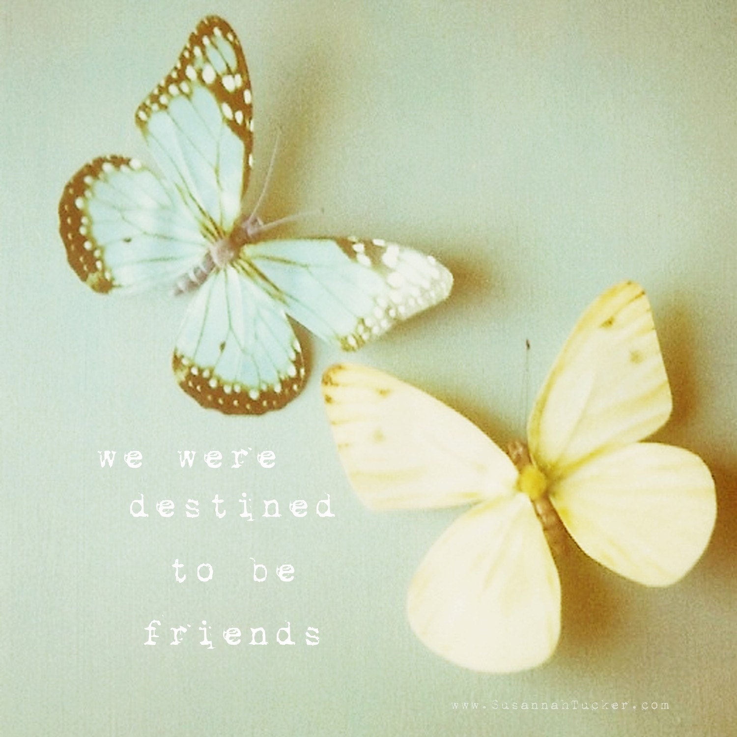 FREE SHIPPING we were destined to be friends - 8x8 butterfly polaroid photo, yellow, blue, pastels, pale green, for her, friendship gift