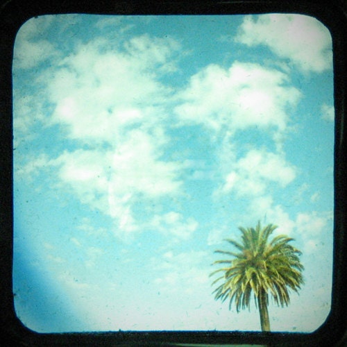 FREE SHIPPING Summer Lovin' - 8x8 Summer palm tree Viewfinder Photo with black border, bright blue, turquoise, green, white clouds, coast