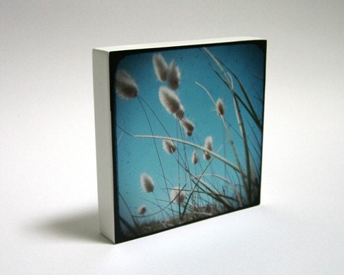 Summer Love - set of 9 photo blocks