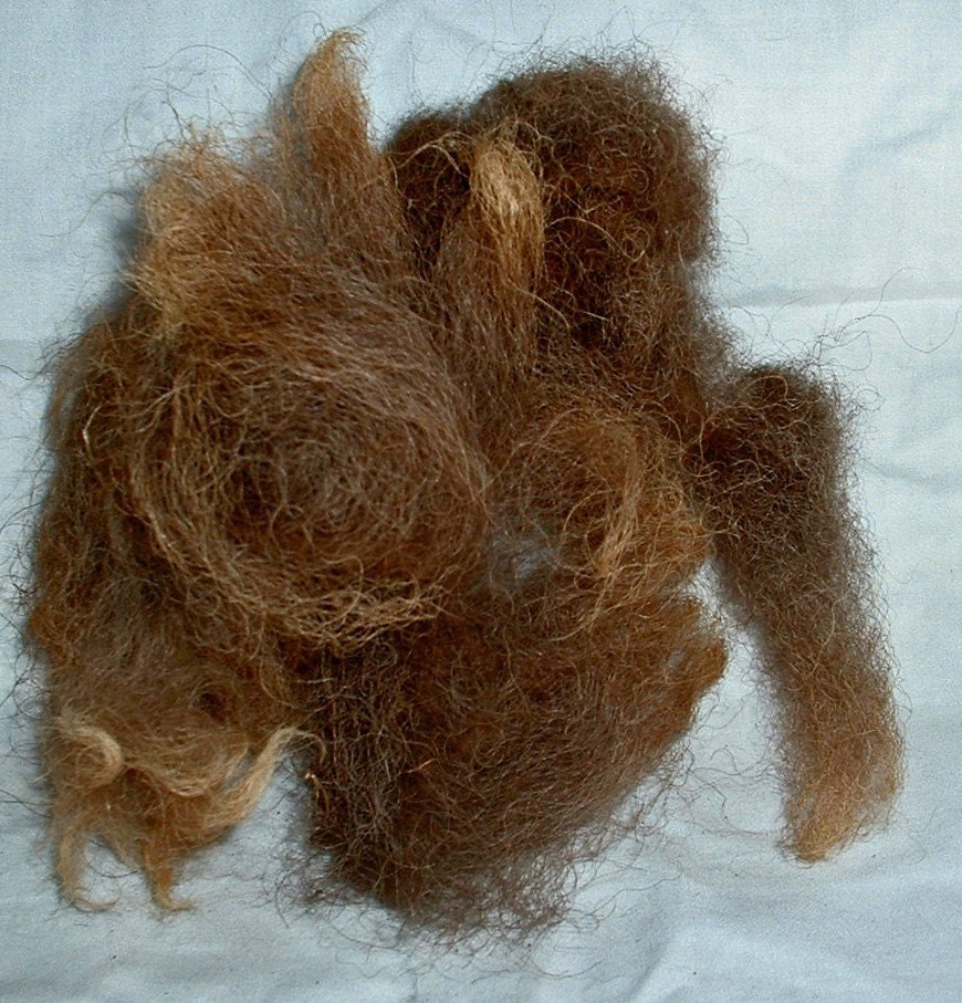 Buffalo Bison Hair 1 Oz By Runswithbuffalo On Etsy