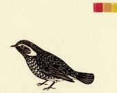 Sky (bird)