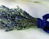 Fancy  English Lavender Bouquet with Hand Tied Ribbon in a Love Knot to ship late June or after