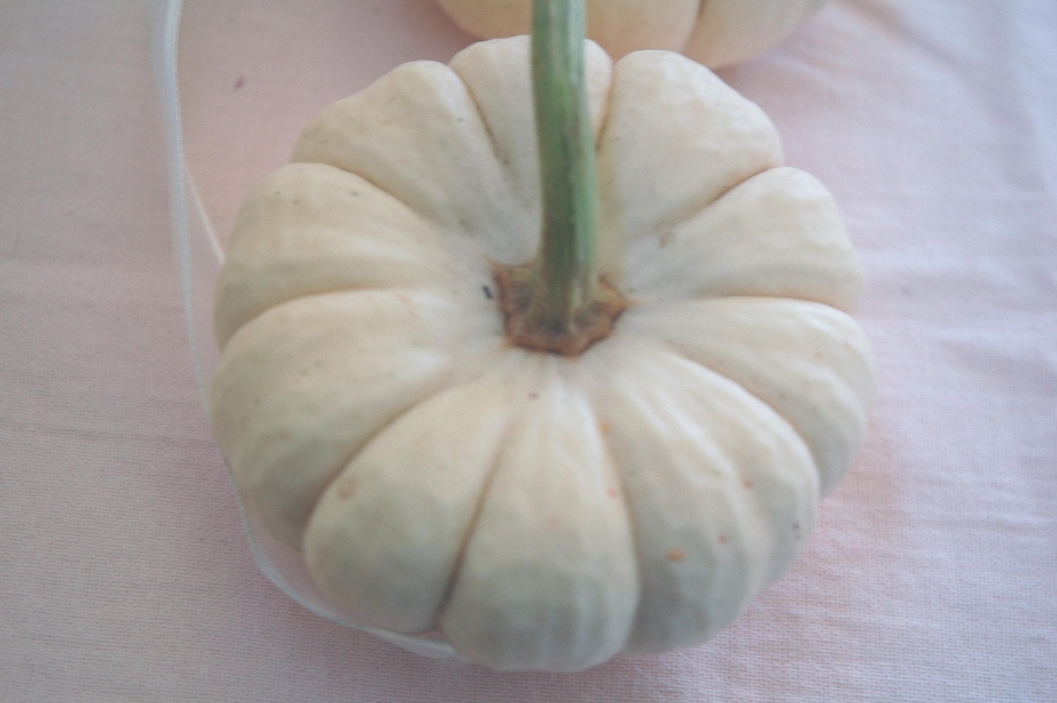 25 Mini Pumpkins