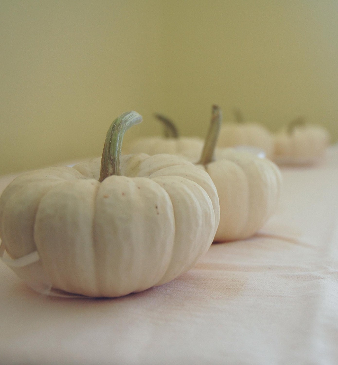 25 Mini Pumpkins