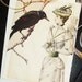 The Raven and the Black Feathered Hat - Victorian Collage Card