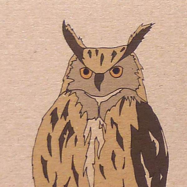 Set of six owl cards (100% recycled)
