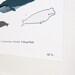 Whales of the World print